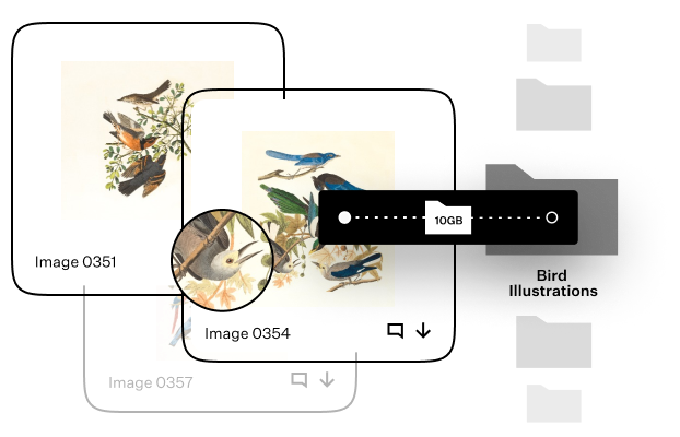 file transfer